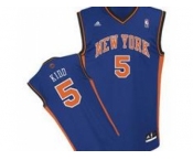 nba New York Knicks #5 Jason Kidd blue[2011 swingman revolution 30]