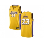 Youth Nike Los Angeles Lakers #23 LeBron James Gold NBA Swingman Icon Edition Jersey