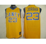 nba jersey chicago bulls #23 jordan orange(fans edition)