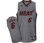 nba miami heat #6 james grey[static fashion swingman]