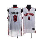 nba toronto raptors #8 jose calderon white