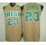 nba cleveland cavaliers #23 gold