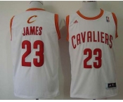 nba cleveland cavaliers #23 james white[revolution 30 swingman]