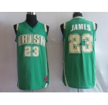 ncaa jordan #23 green