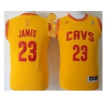 NBA Youth Revolution 30 Cleveland Cavaliers #23 LeBron James Gold The Champions Patch Stitched Jerseys