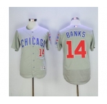 Men's Chicago Cubs #14 Ernie Banks Majestic Gray Flexbase Authentic Collection Player Jersey