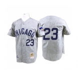Men's Mitchell and Ness Chicago Cubs #23 Ryne Sandberg Authentic Grey 1969 Throwback MLB Jersey