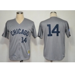 mlb chicago cubs #14 banks grey[m&n 1969]