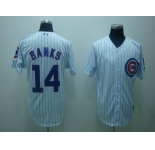 mlb chicago cubs #14 banks white(blue strip)