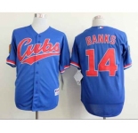 mlb jerseys chicago cubs #14 banks blue[1994 m&n]