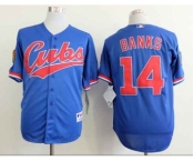 mlb jerseys chicago cubs #14 banks blue[1994 m&n]