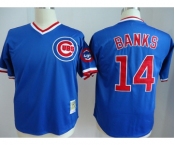 mlb jerseys chicago cubs #14 banks blue[m&n]