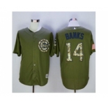 mlb jerseys chicago cubs #14 banks green