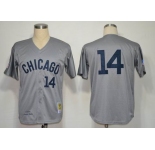 mlb jerseys chicago cubs #14 ernie banks grey m&n