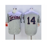 mlb jerseys minnesota twins #14 kent hrbek grey(m&n 1969)