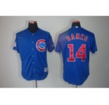 youth mlb jerseys chicago cubs #14 banks blue