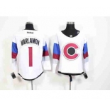 nhl jerseys colorado avalanche #1 varlamov white[2015 new]