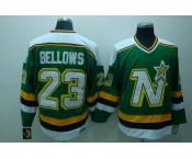 nhl dallas stars #23 bellows green ccm