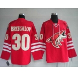 nhl jerseys phoenix coyotes 30# bryzgalov red