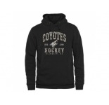 Men's Arizona Coyotes Black Camo Stack Pullover Hoodie