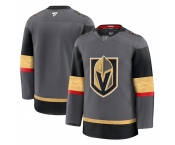 Men's Vegas Golden Knights Blank Grey 2024-25 Alternate Stitched Hockey Jersey