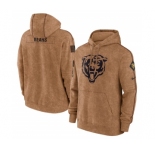 Men's Chicago Bears 2023 Brown Salute to Service Pullover Hoodie