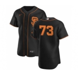 Men's Nike San Francisco Giants #73 Caleb Baragar Black Alternate 2020 Authentic Player Baseball Jersey