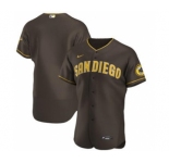Men's Nike San Diego Padres 2020 Brown Authentic Alternate Team Baseball Jersey