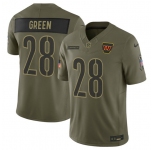 Men's Washington Commanders #28 Darrell Green Olive 2025 Salute to Service Limited Football Stitched Jersey