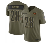 Men's Washington Commanders #28 Darrell Green Olive 2025 Salute to Service Limited Football Stitched Jersey