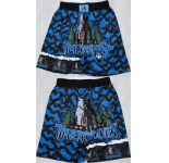Men's Minnesota Timberwolves Black 2025 Shorts