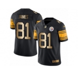 Men's Nike Steelers #81 Jesse James Black Stitched NFL Limited Gold Rush Jersey