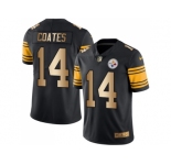 Nike Pittsburgh Steelers #14 Sammie Coates Black Men's Stitched NFL Limited Gold Rush Jersey