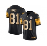 Nike Pittsburgh Steelers #81 Jesse James Black Men Stitched NFL Limited Gold Rush Jersey