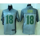 nike nfl jerseys green bay packers #18 randall cobb grey[Elite vapor]