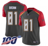Nike Buccaneers #81 Antonio Brown Gray Men's Stitched NFL Limited Inverted Legend 100th Season Jersey