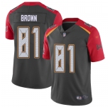 Nike Buccaneers #81 Antonio Brown Gray Men's Stitched NFL Limited Inverted Legend Jersey